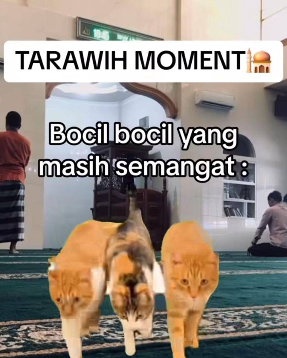 Instagram.com/memekucingofficial